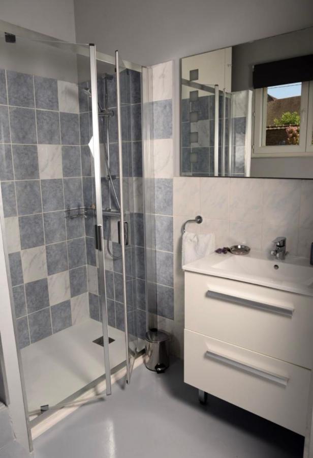 Gite Chez Madeleine Apartment Louhans Bagian luar foto